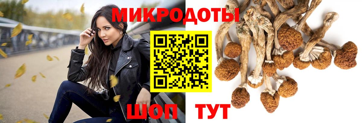 Галлюциногенные грибы Psilocybe Великий Новгород