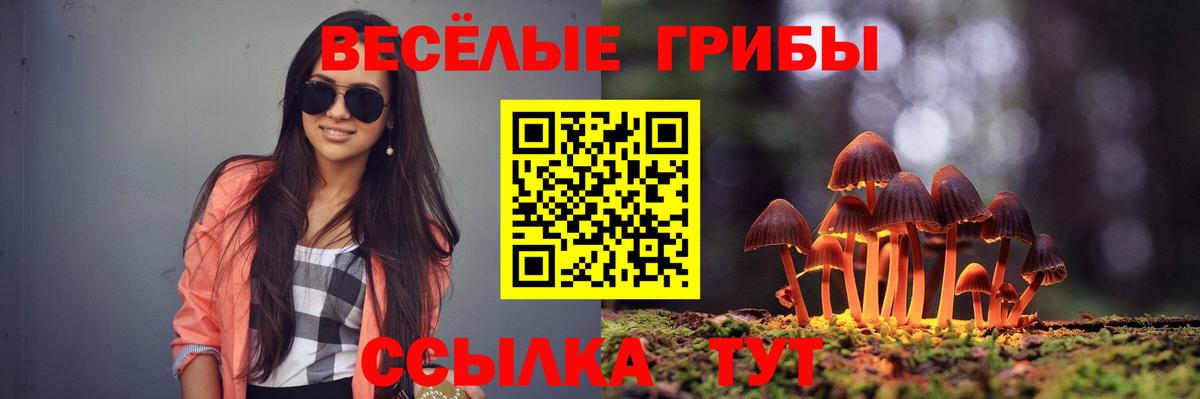 Великий Новгород  купить закладку  Вход с VPN  Галлюциногенные грибы Psilocybine cubensis 